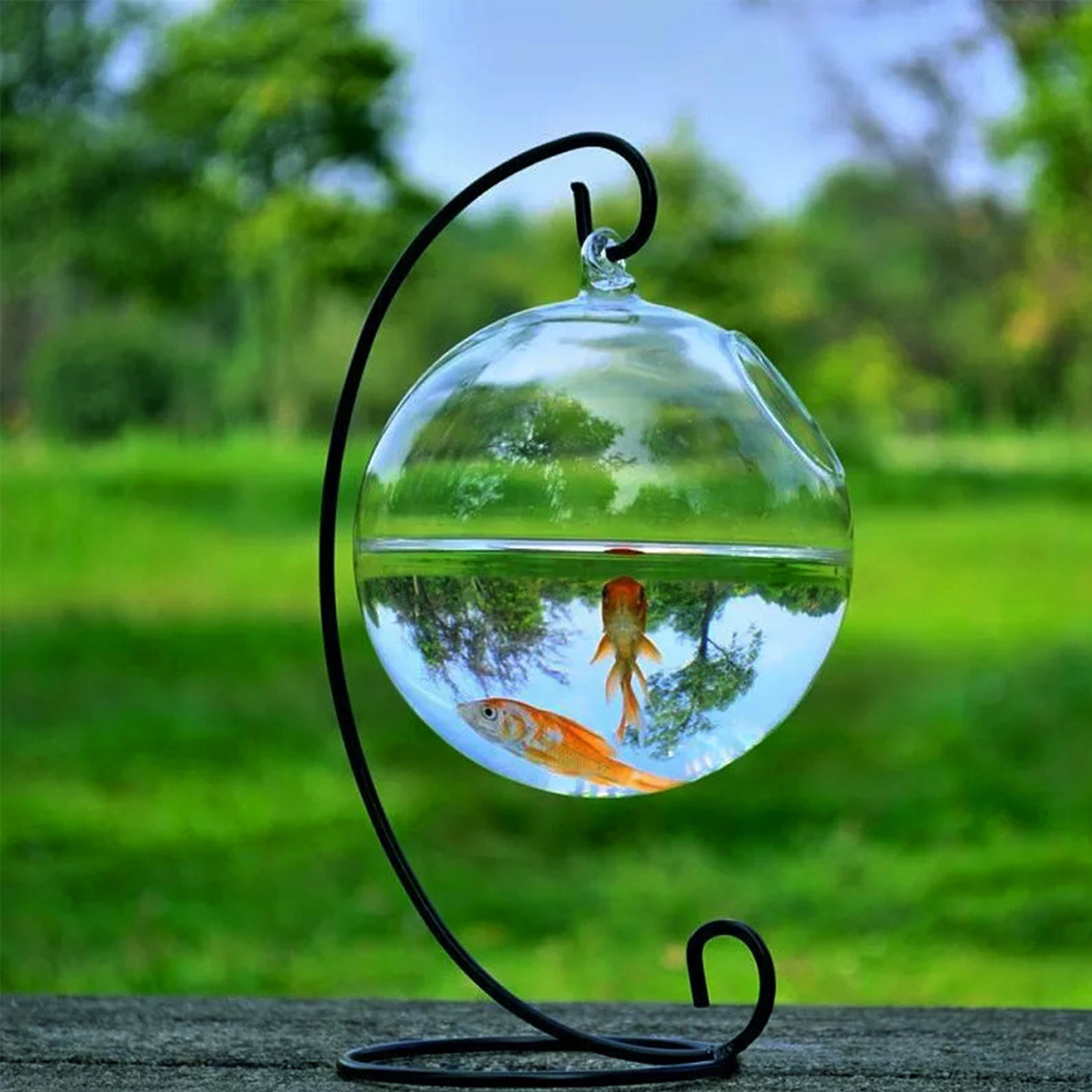 Transparent Glass Fish tank aquariums & accessories decorations light