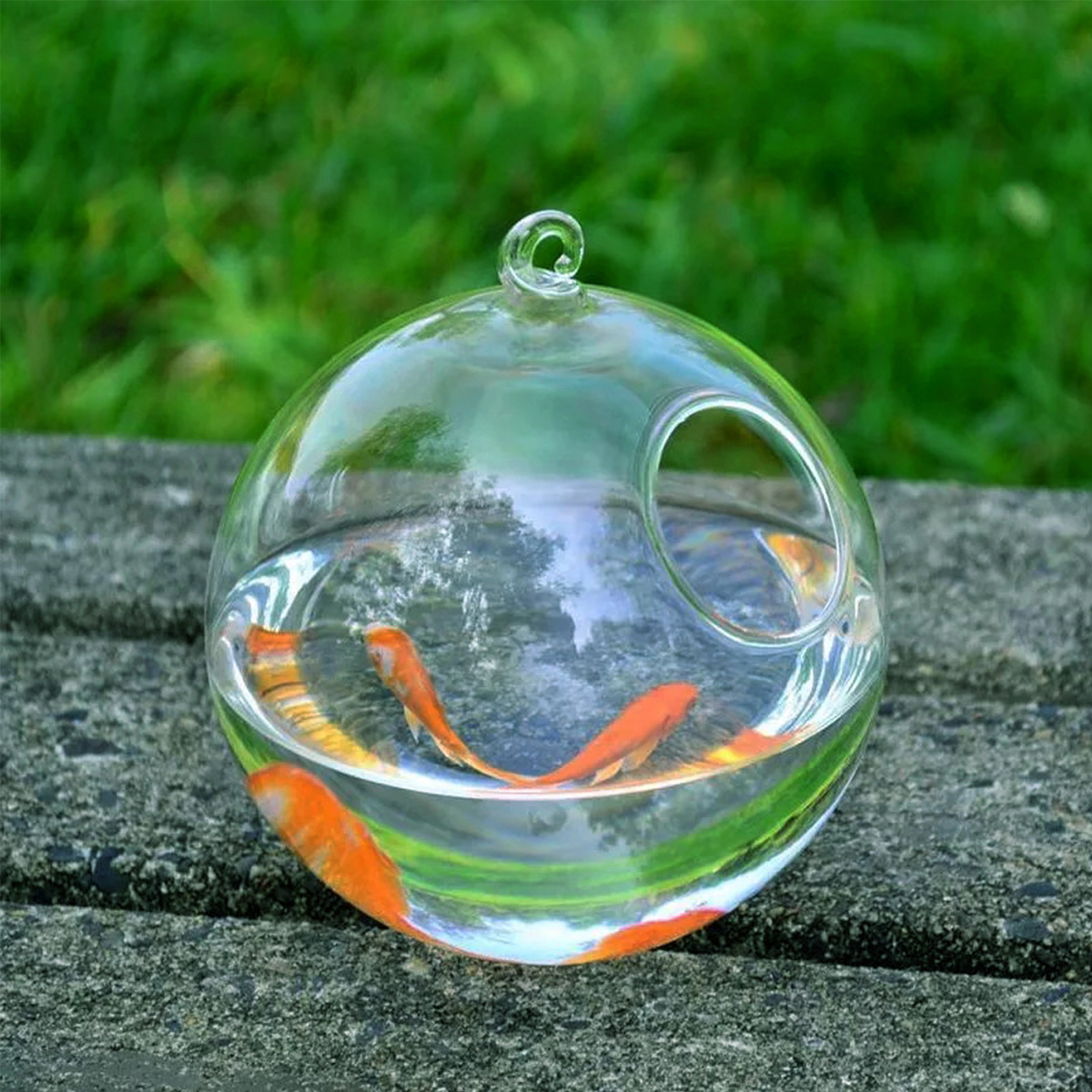 Transparent Glass Fish tank aquariums & accessories decorations light