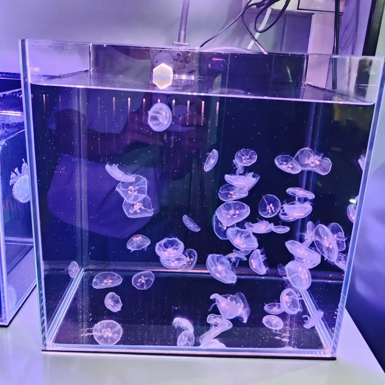 Novelty LED Desktop Mood Lamp Jellyfish Tank Artificial Jellyfish Aquarium Lighting Fish Tank Night Light Lamp
