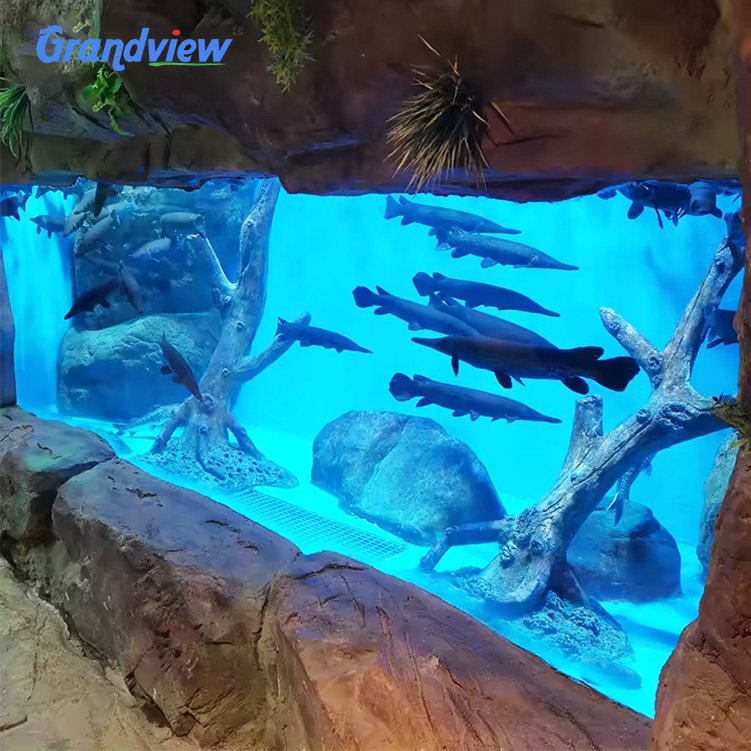 guangdong plexiglass aquariums & tanks large ultra clear glass fish tank aquarium
