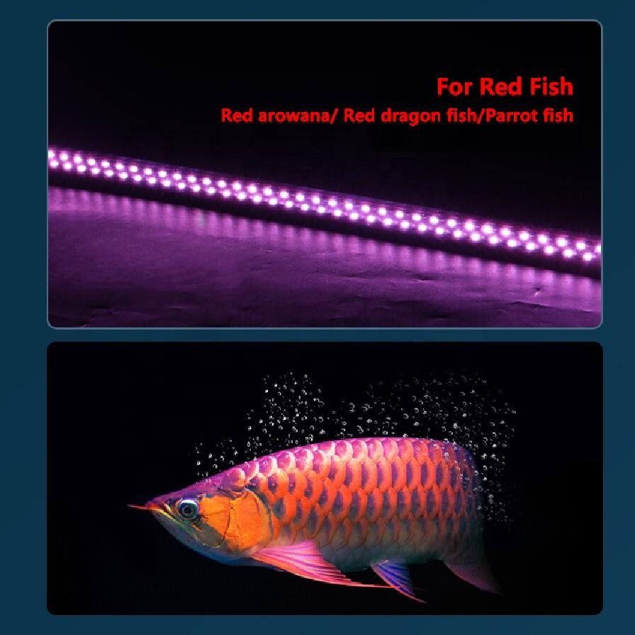 China T8 LED aquarium tube light for fish tank red arowana koi parrot fish tropical fish water plant light