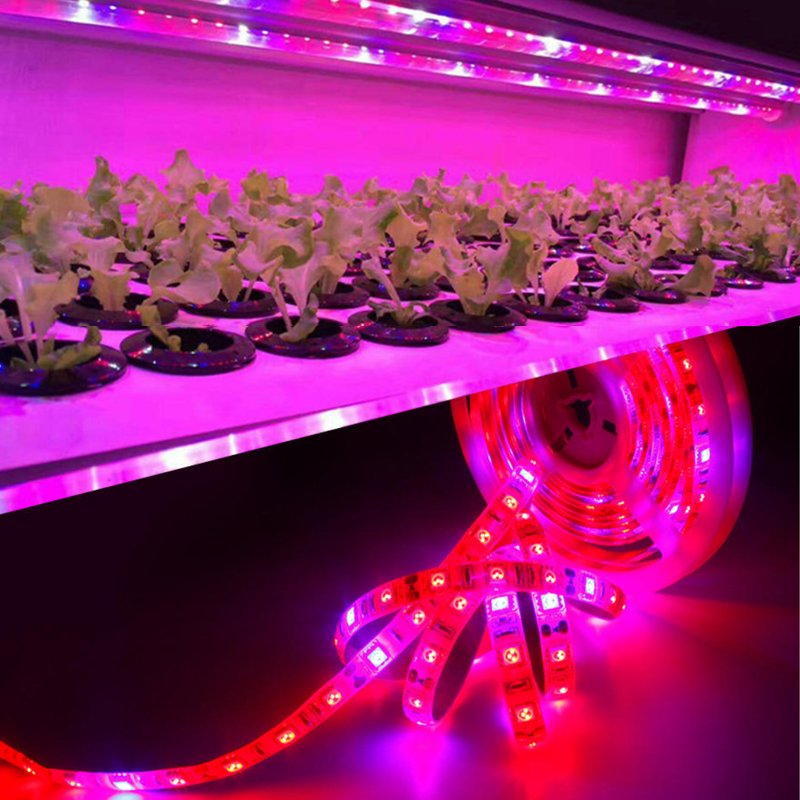 Full Spectrum Phyto Lamp 5m LED Grow Lights 5050 12V 60LEDs/m Diode Strip Light Tape Growing Lamp For Plants Flowers