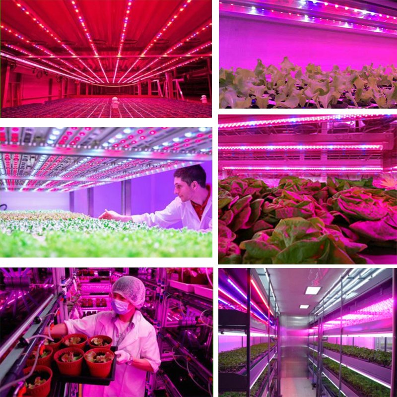 Full Spectrum Phyto Lamp 5m LED Grow Lights 5050 12V 60LEDs/m Diode Strip Light Tape Growing Lamp For Plants Flowers