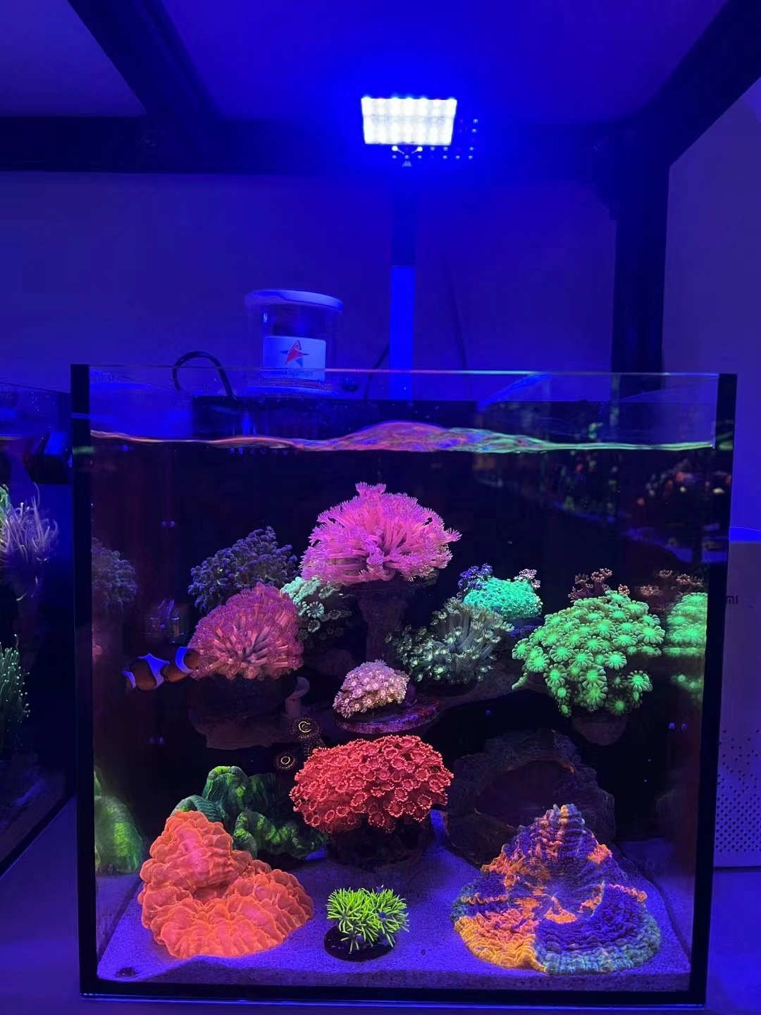 A.S. retail Hot selling 25CM glass tank nano tank back filtration fish tank ultra clear aquarium accessories