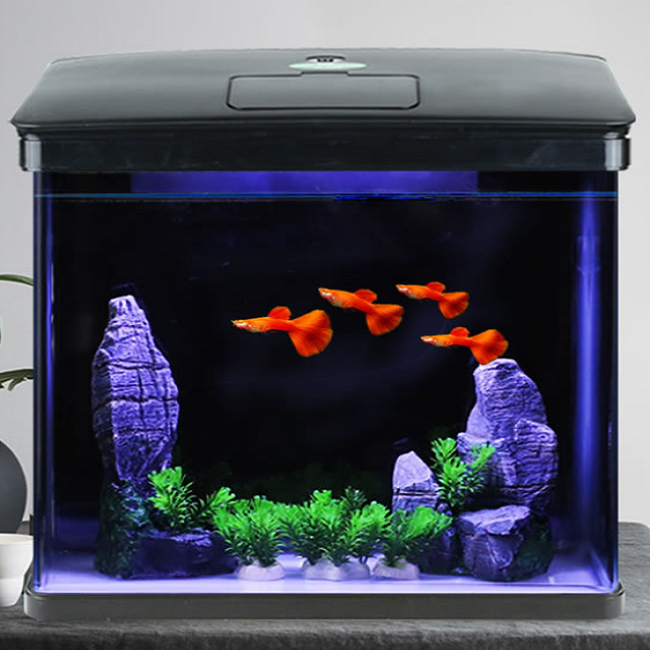 High Transparency ABS Plastic Shell Square Fish Tank Goldfish Tank aquarium With Cover