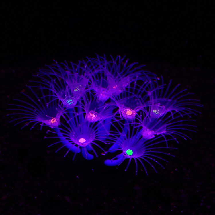 Unique High-Luminous Multicolor Effect Silicone Sunflower Artificial Non-Plastic Aquarium Decorations Ceramic Fish Tank-Blue