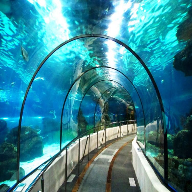Finely Crafted Elegant New Product Exclusive Custom Acrylic Aquarium Tank for Fish Shark Tunnel