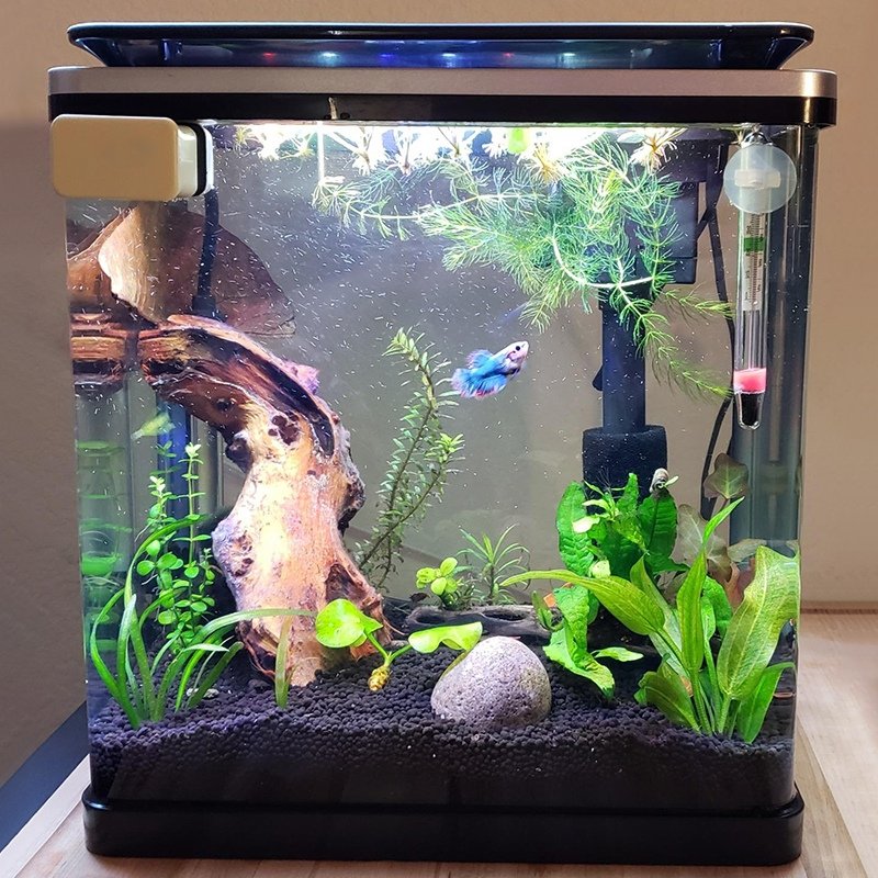 Hygger Aquarium Accessories Fish Tank with LED Lighting Desktop Aquarium Starter Kit with Lid Filter Pump Fish Tank