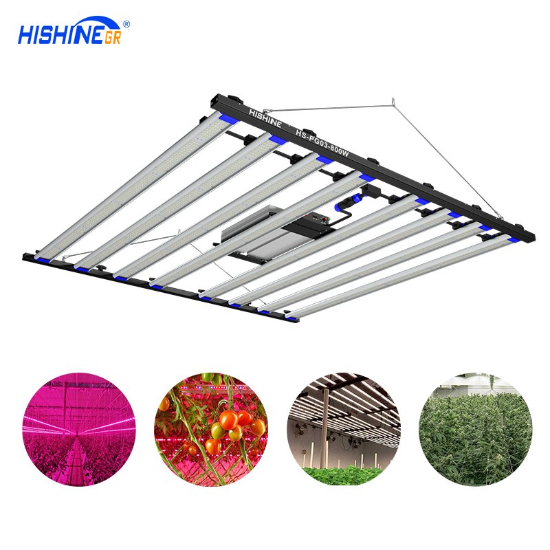 Full Spectrum Led Grow Light 200w 600w 800w 1000w SKD Plant Light for Indoor Plants