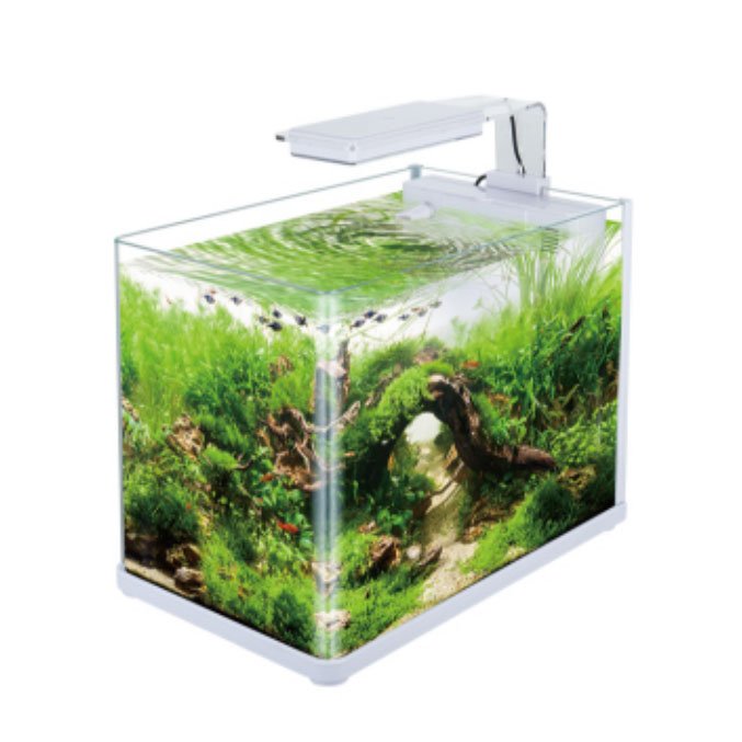 SOBO WP-200SP ULTRAWHITE GLASS wholesale ULTRAWHITE glass aquarium fish tank with LED light home office desk top decoration