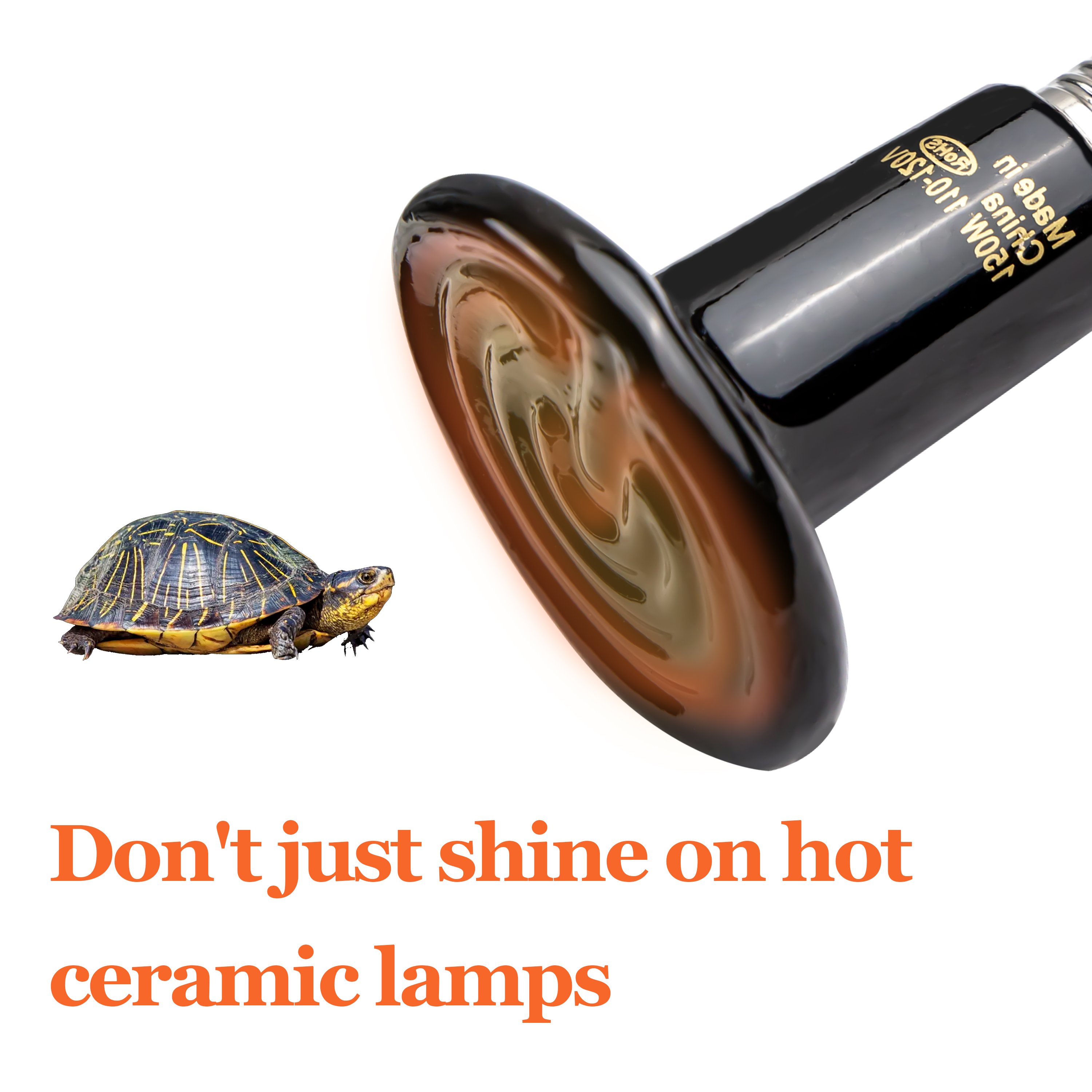reptile heat and light bulb heat lamp aquarium