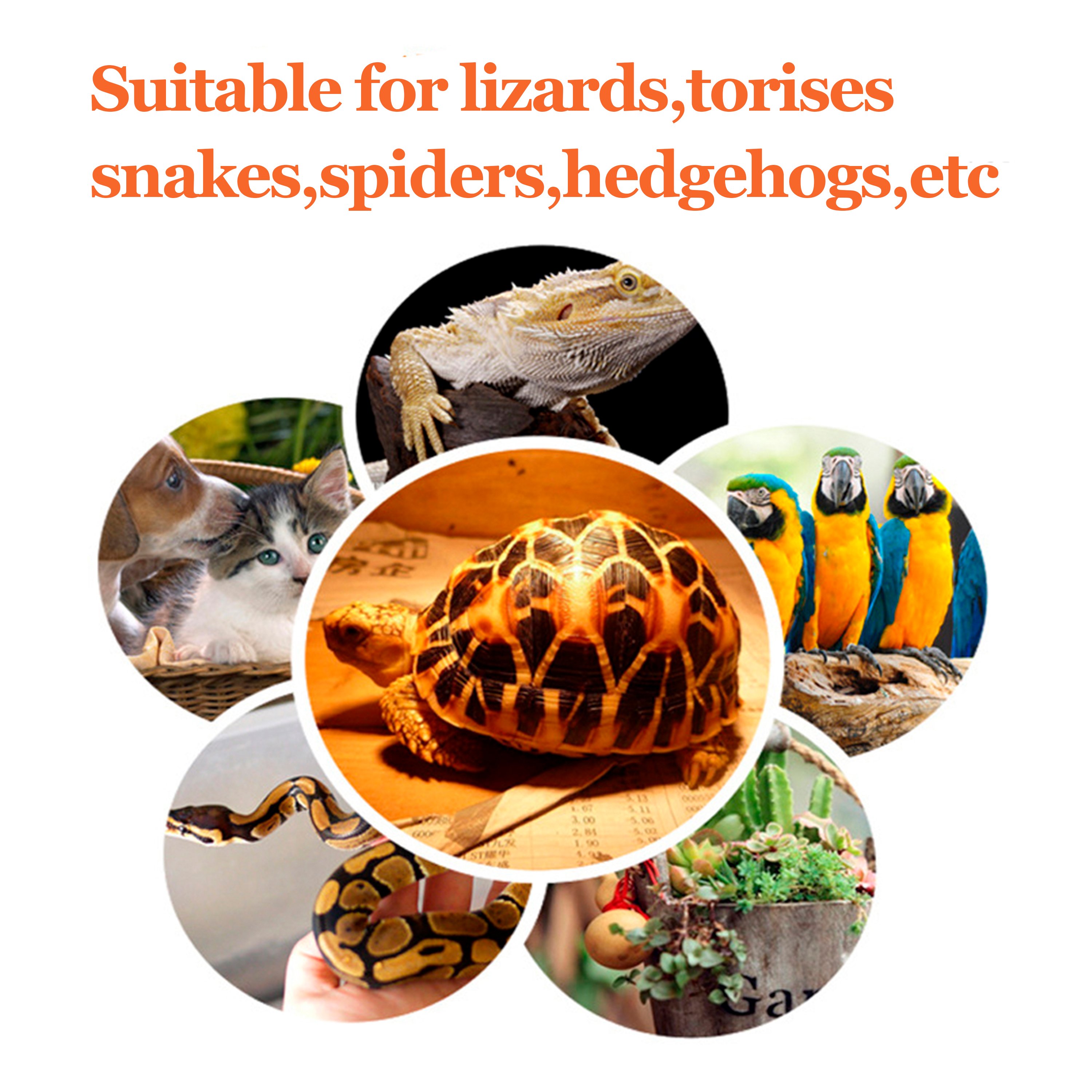 reptile heat and light bulb heat lamp aquarium