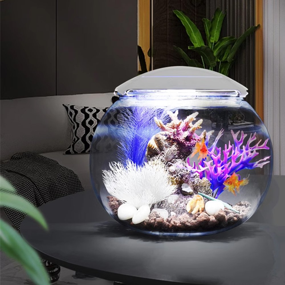 Charming acrylic fish tank,Clear aquarium tank, betta tank