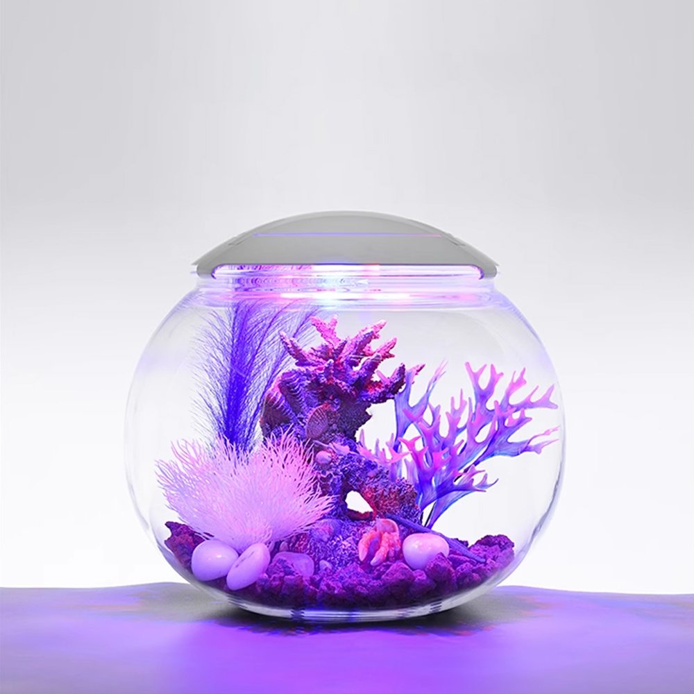 Charming acrylic fish tank,Clear aquarium tank, betta tank
