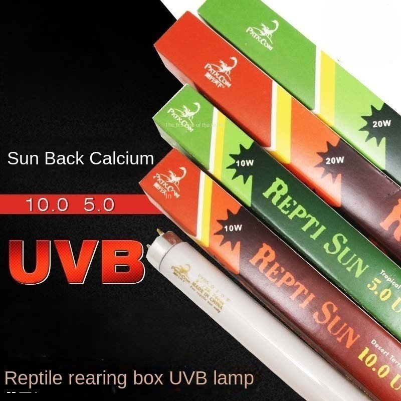 In Stock Stocked Reptile Basking Platform Rock