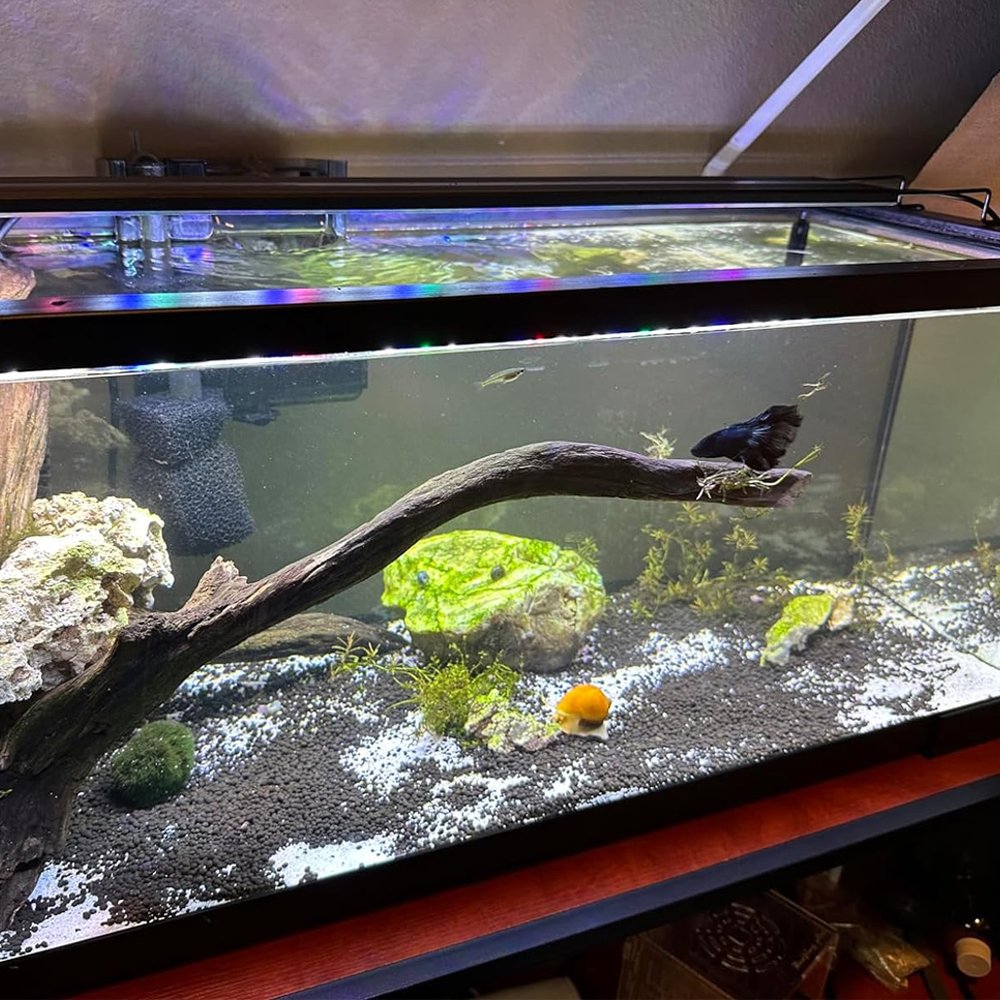 25-31 Inch Full Spectrum Fish Tank Light with Timer Auto On/Off Brightness Adjustable Timer function for light led aquarium