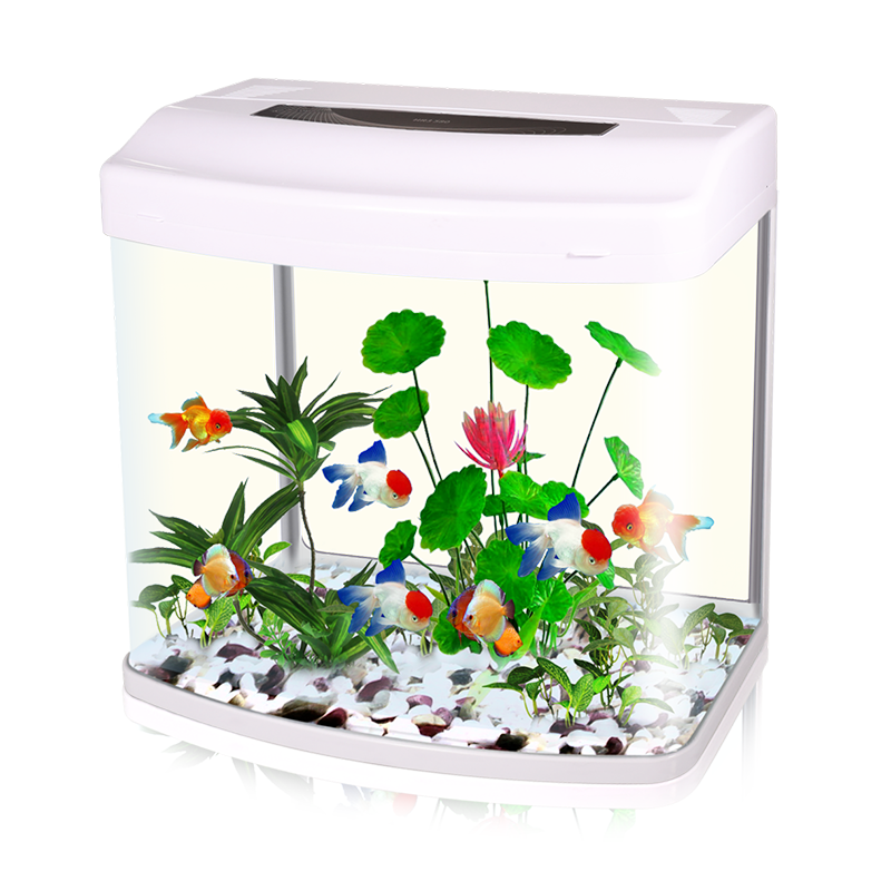 High quality Customized Desktop mini fish tank aquarium New design Luxury Smart touch LCD display smallfish tanks