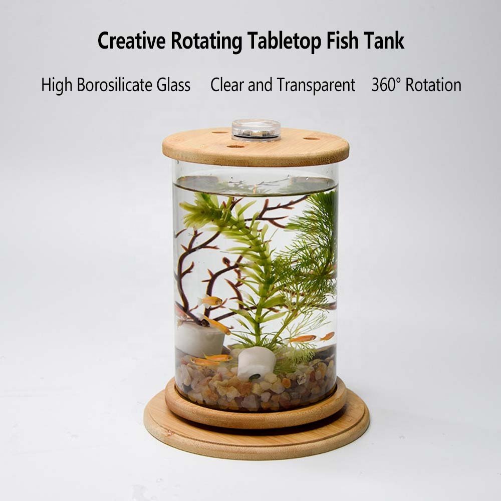 Products Plastic 6-Gallon AquaView 360 Aquarium Kit for Tropical Fish, Betta Fish with LED Lighting and Power Filter Clear