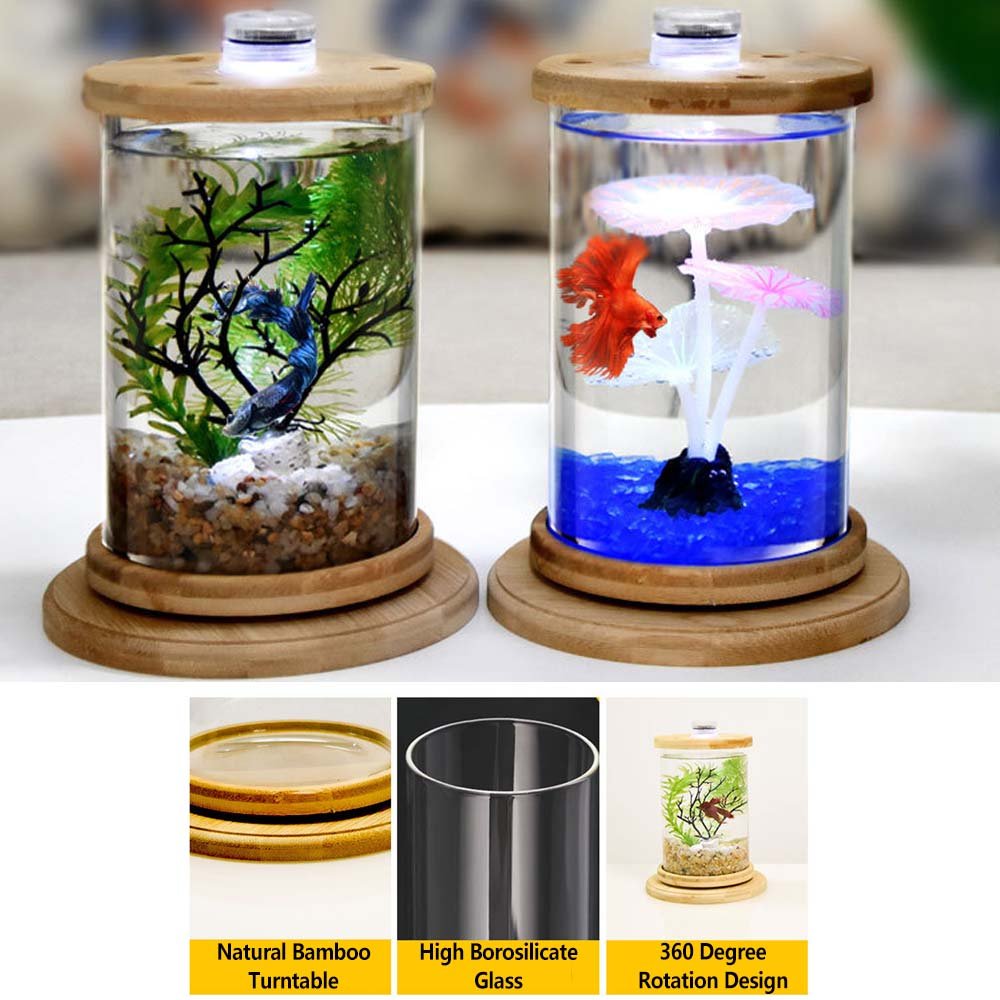 Products Plastic 6-Gallon AquaView 360 Aquarium Kit for Tropical Fish, Betta Fish with LED Lighting and Power Filter Clear