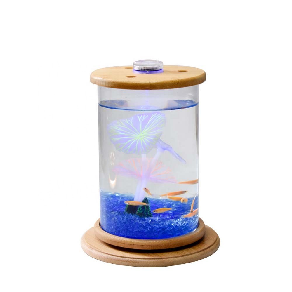 Products Plastic 6-Gallon AquaView 360 Aquarium Kit for Tropical Fish, Betta Fish with LED Lighting and Power Filter Clear