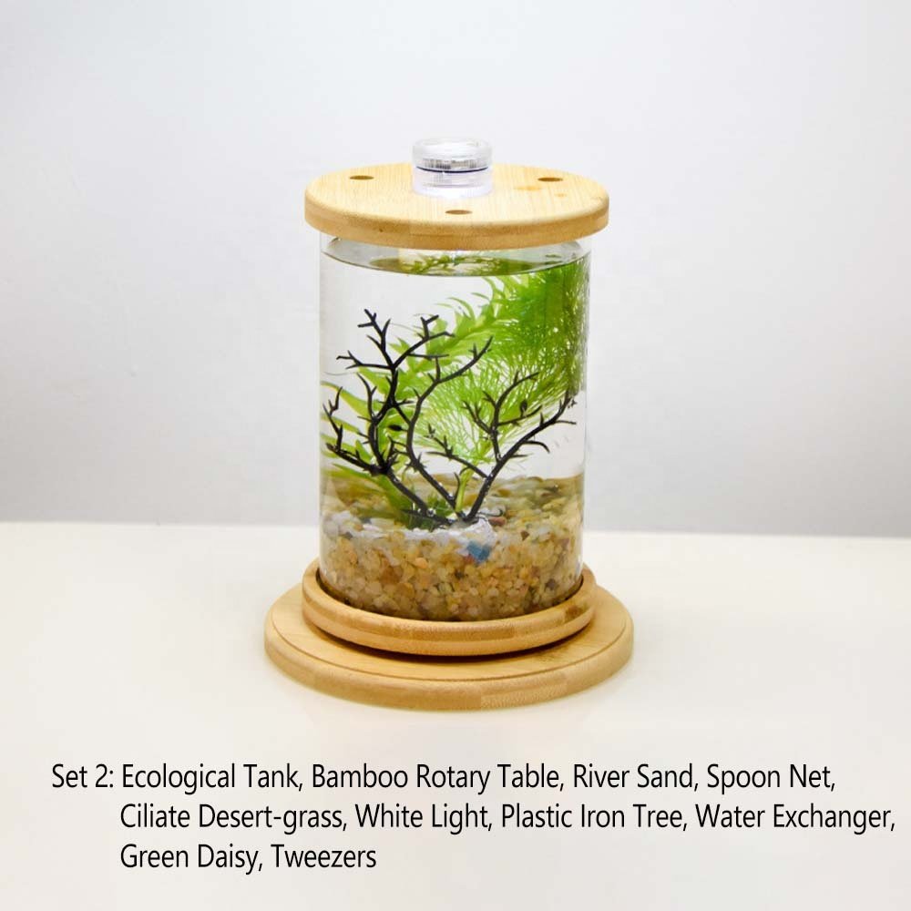 Products Plastic 6-Gallon AquaView 360 Aquarium Kit for Tropical Fish, Betta Fish with LED Lighting and Power Filter Clear