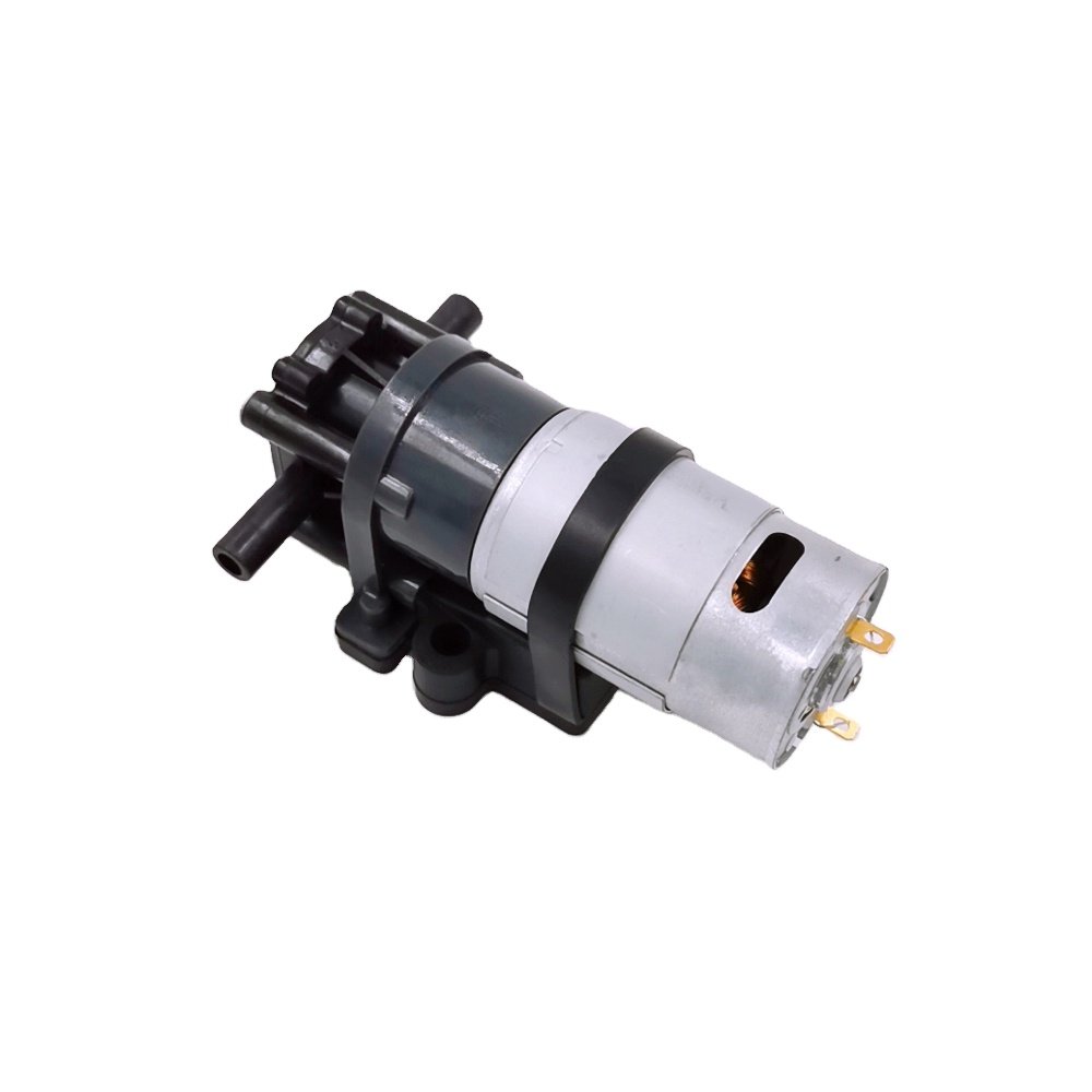 Painting Small Electric Gear 2bpicturesure Low Vtable 12 Volt Water Pump Poster Stainless Steel Gear Pump Dc Gear Pump Micro 2W