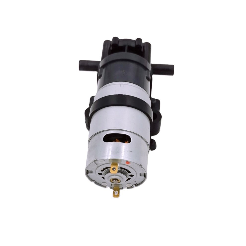 Painting Small Electric Gear 2bpicturesure Low Vtable 12 Volt Water Pump Poster Stainless Steel Gear Pump Dc Gear Pump Micro 2W