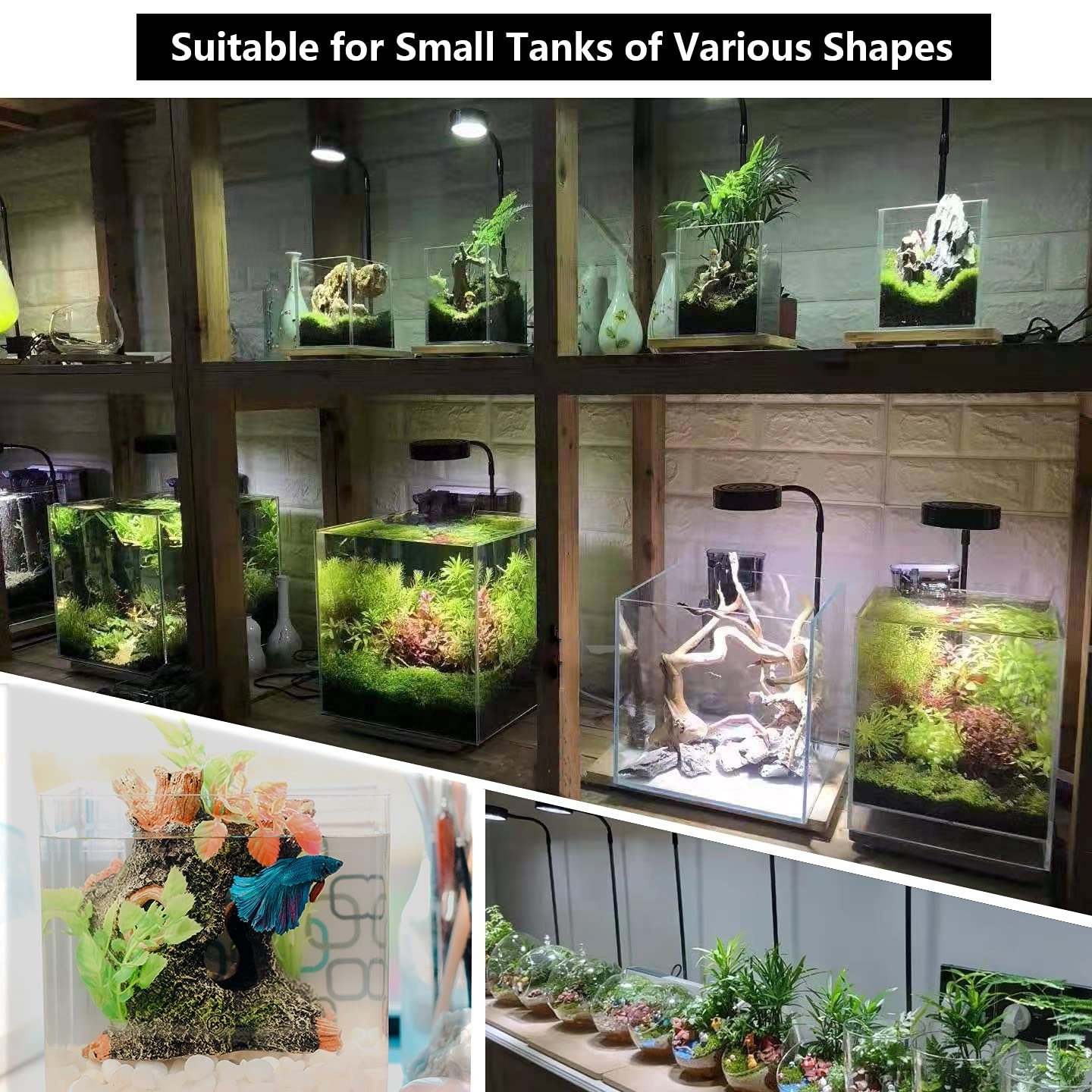 Aquarium Light Full Spectrum LED for Indoor Bamboo Mini LED Grow Light