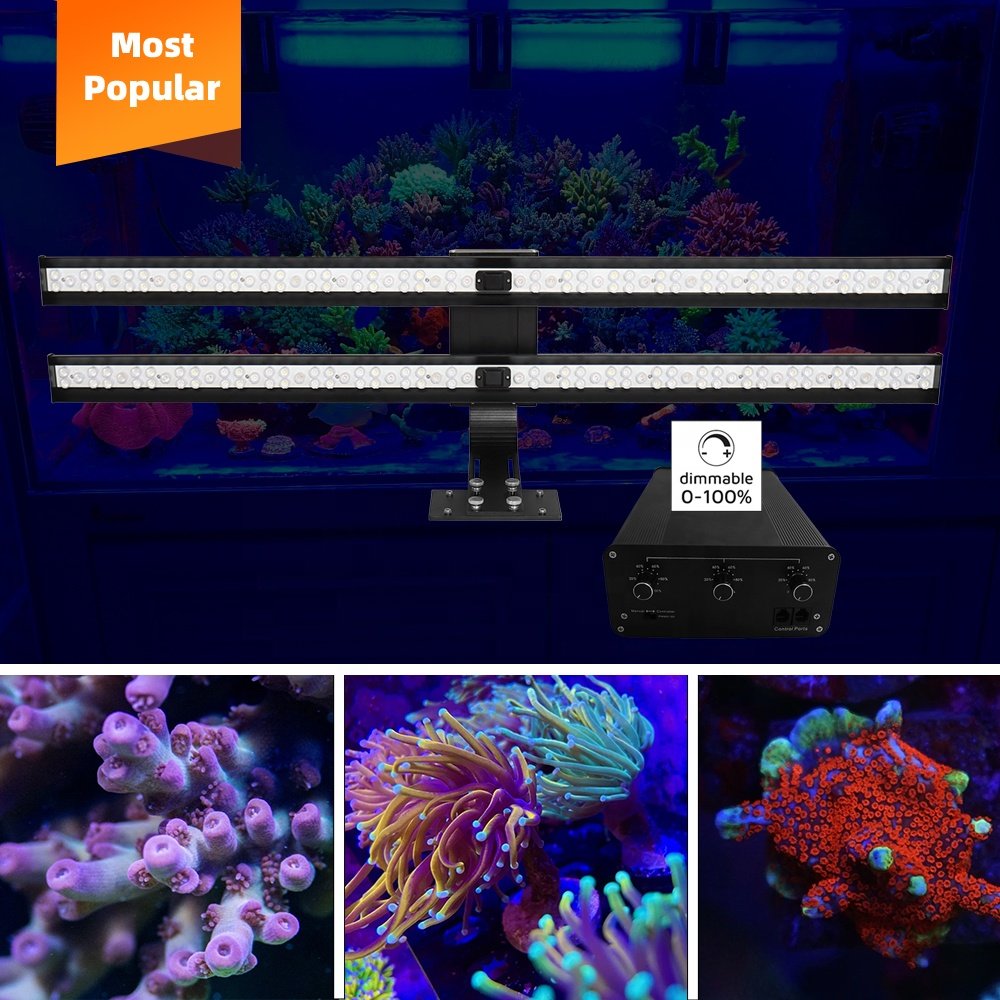 Usa Warehouse Weel Fish Tank Light 60Cm Led Aquarium Light Led Strip Light Blauw 100Cm Aquarium Factory In China