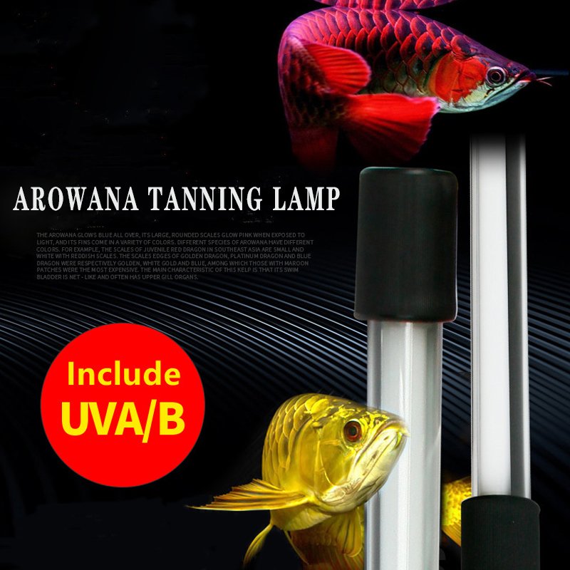Zaohetian 2700k 6700k 13000k Hot sale Indonesia fluorescent lamp UV arowana lamp aquarium arowana light