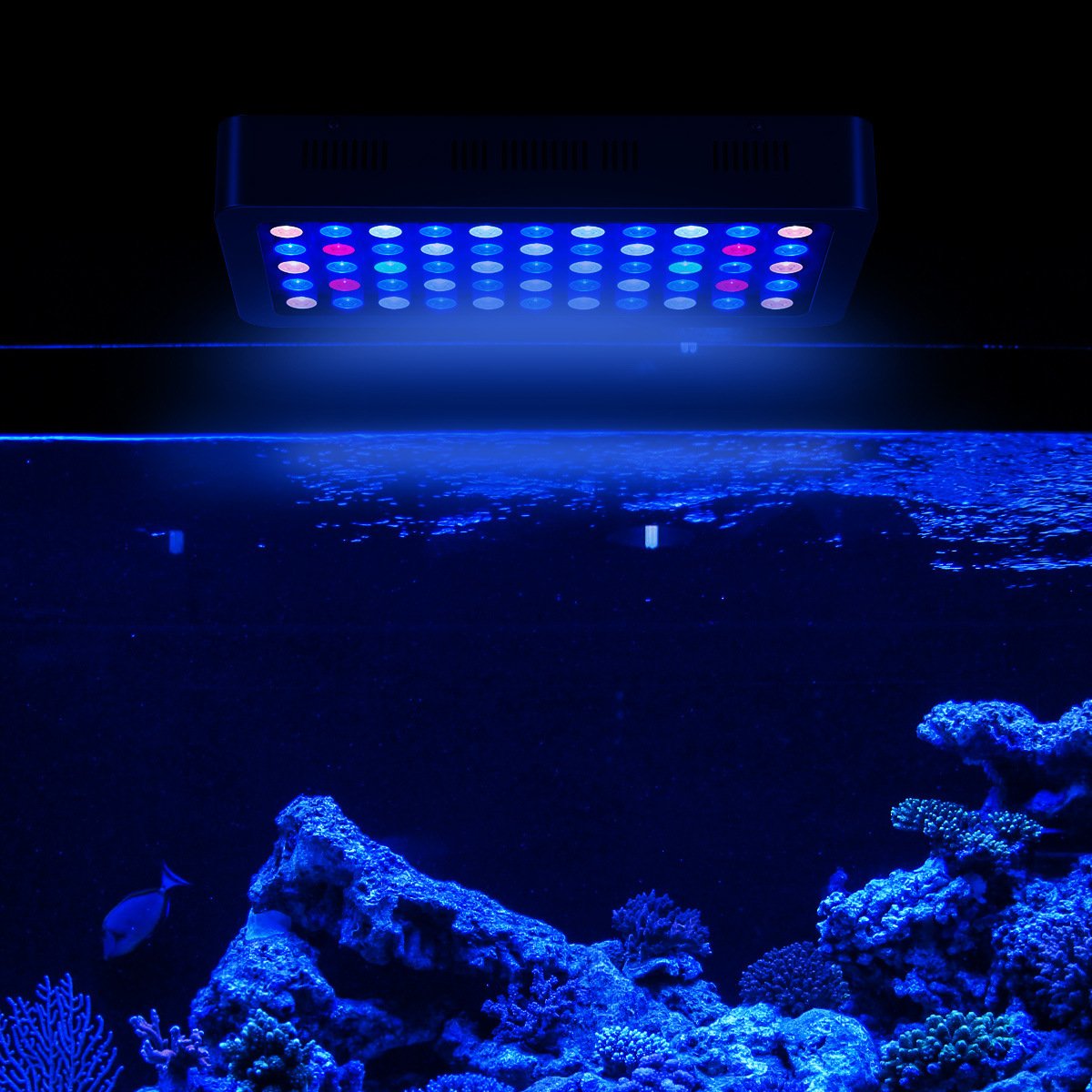 2019 Newest Discount Factory Supply Aquarium Coral Reef Light Led Aquarium lighting with dimmer