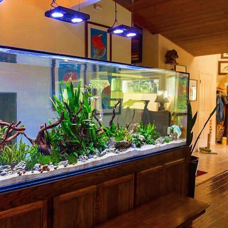 Factory Custom Premium Acrylic Aquariums Lightweight, Strong, and Stylish