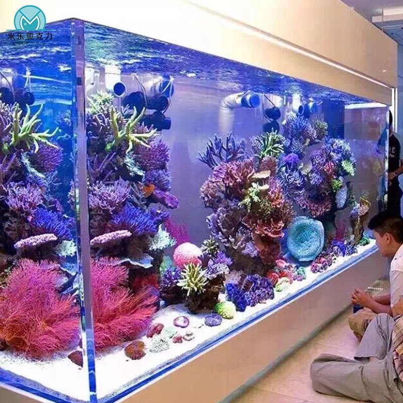 Customized Size Competitive price high-quality Reef Aquarium Marine Fish Tank
