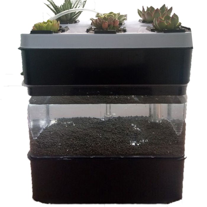 Aquarium Greenhouse Plant Vegetable Vertical Hydroponic Pot Fish Tanks