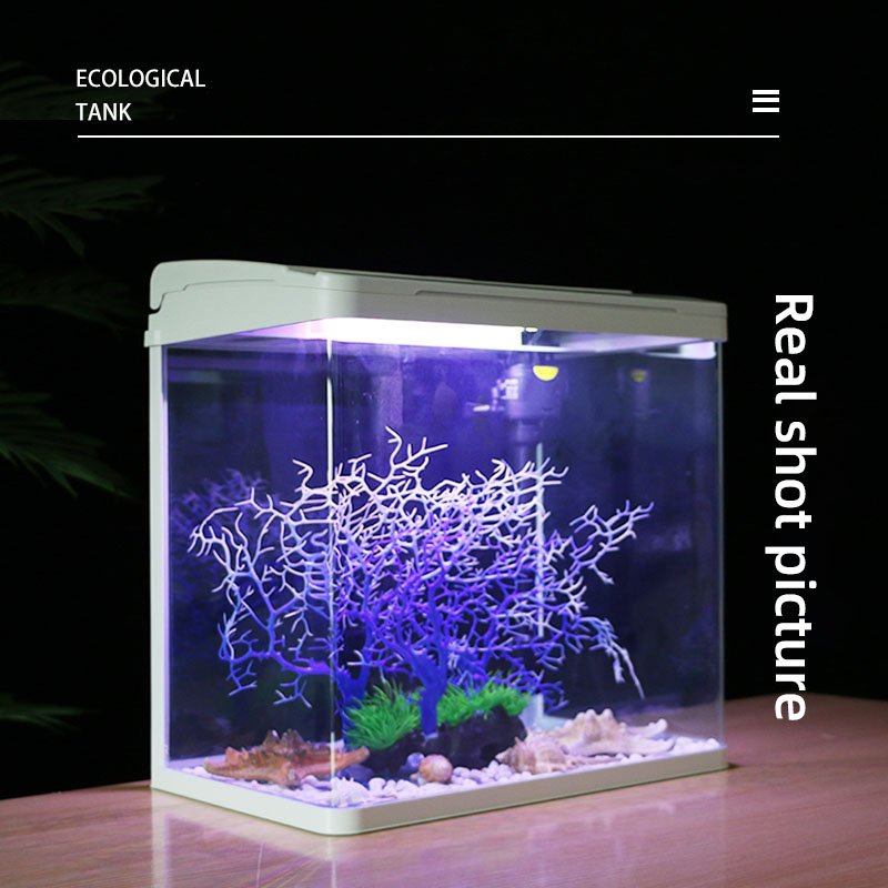 New office living room glass small fish tank mini aquarium