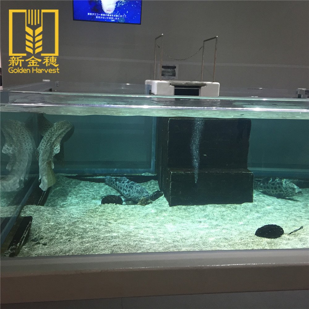 Many years factory ornamental fish tank unique acrylic aquarium
