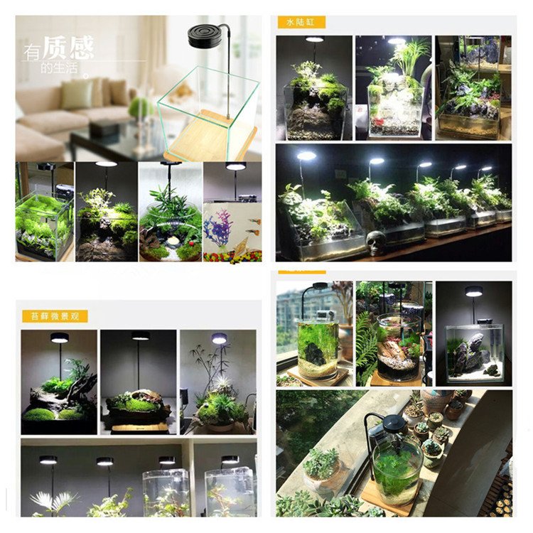 LED Aquarium Lights For Fish And Coral Reef Fish Tank 3W 5W 7W 9W