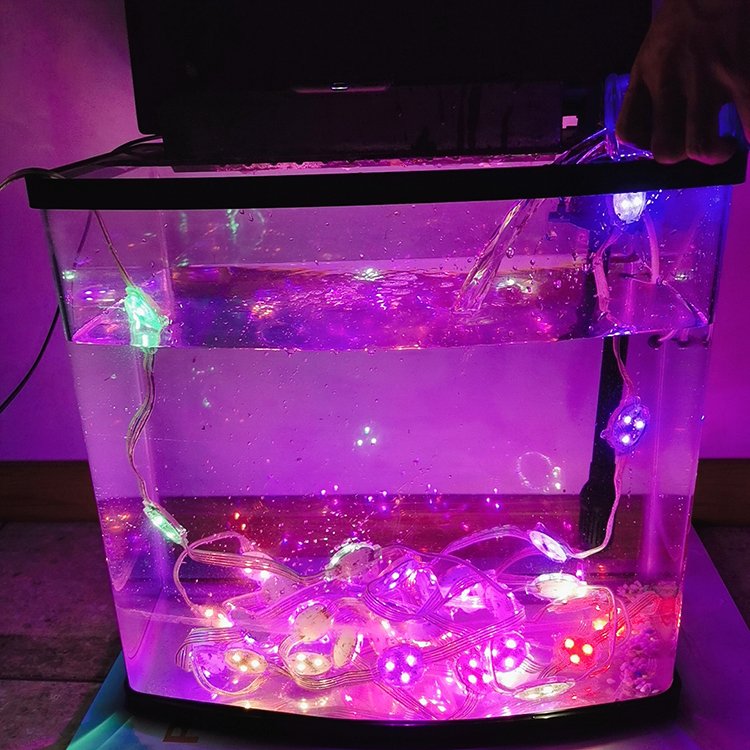 Custom Size 80cm 120cm Marine Rgb Led Light For Aquarium