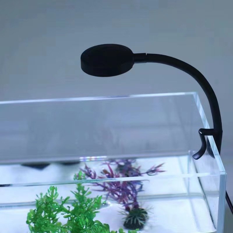 Mini USB 3W Aquarium Lights for Small Fish Tank Clamp Light Ornamental Aquarium Light