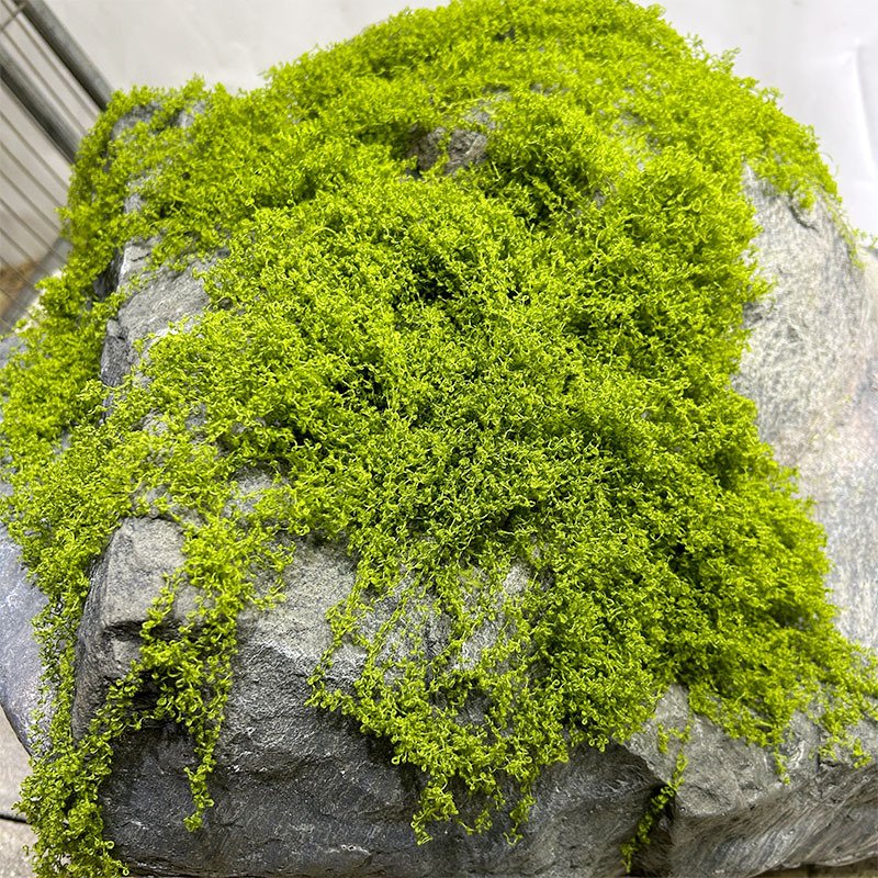 Artificial Moss Lawn Grass Plant Decoration Landscape Bonsai Paving Simulated Carpet Dark Green Moss Turf Grass