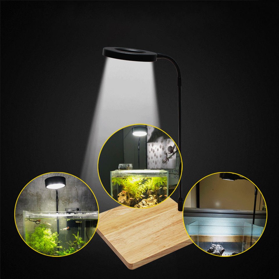 USB Aquarium Micro Landscape illumination Lamp LED Fish Tank Light With Wooden Base
