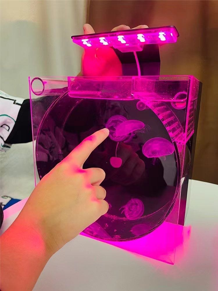 variety of adjustable night light water tank, so that your life is no longer monotonous,Home creative cylinder,Home Decoration