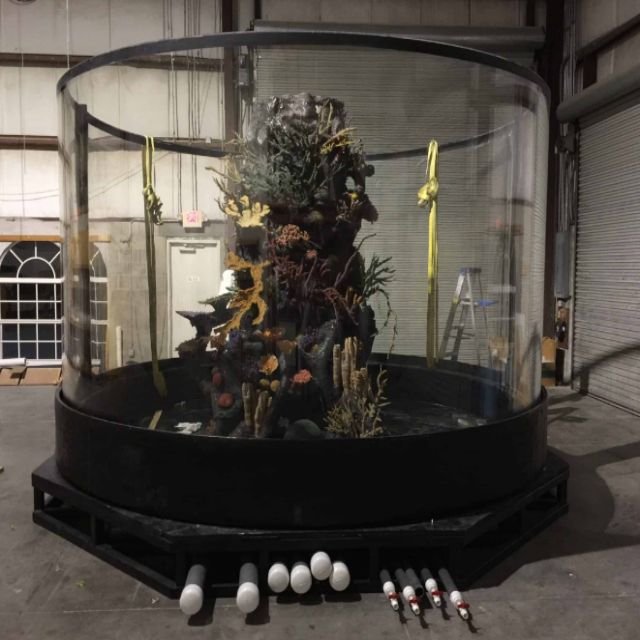 100-Gallon Acrylic Plexi glass Fish Tank Custom Cut and Moulded 100-Gallon Cylinder Aquarium
