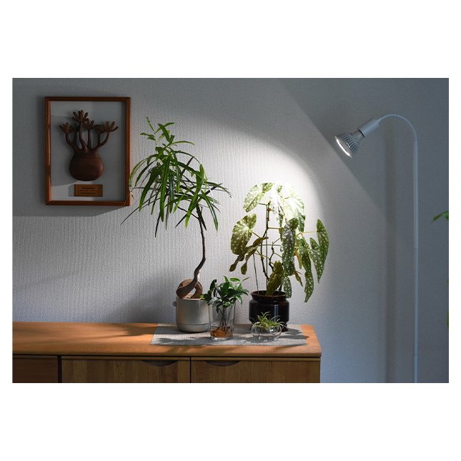 Best Working Bulk Sales TSUKUYOMI 10W Underwater Plants Growing Marine Aquarium Lighting