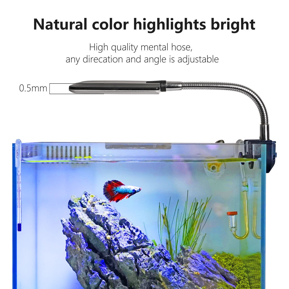 Gako Aquatic 1.5W F5 Beads Aquarium LED Fish Tank Light, Super Mini Size White Blue Color Aquarium Clip Light for Mini Fish Tank