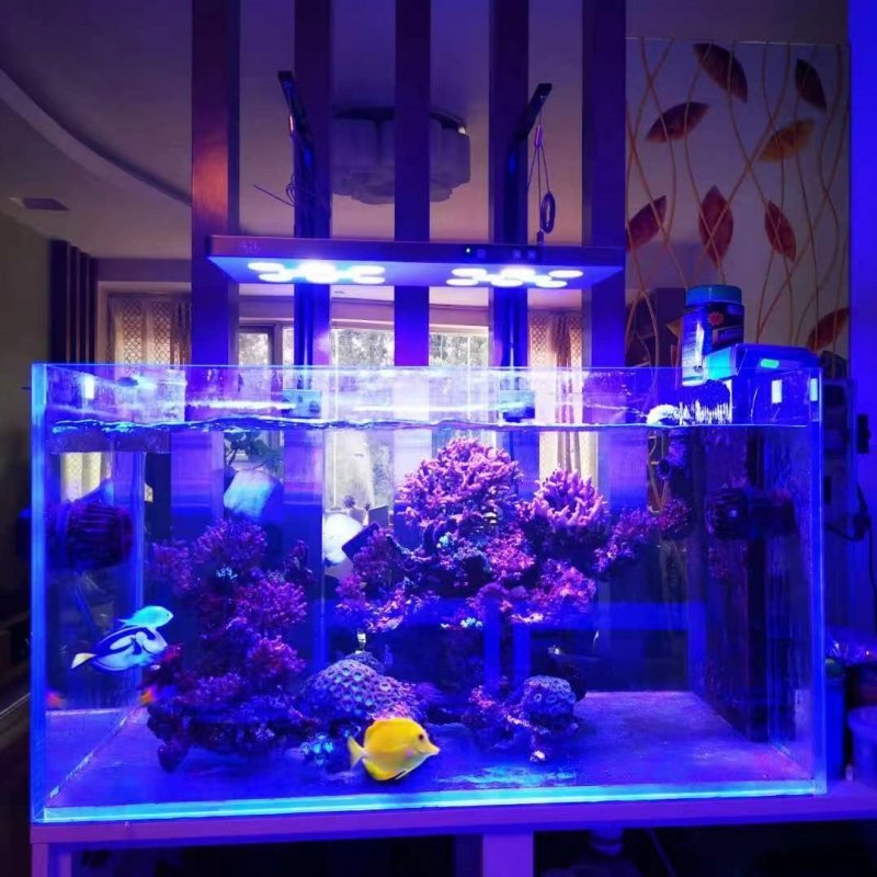 JUYANG High Quality Aquarium LED Lighting Fish Tank Marine Coral Aquarium Full Spectrum Led Lights for Aquarium Plants