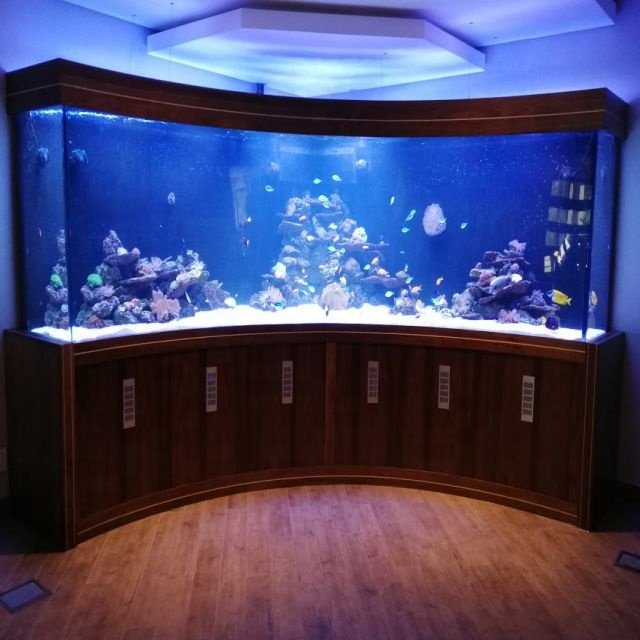 200mm Thick Acrylic Sheet for Fish Tank Customizable Acrylic Aquarium Fish Tank