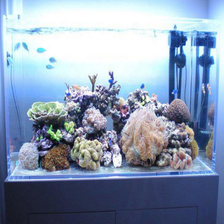 200mm Thick Acrylic Sheet for Fish Tank Customizable Acrylic Aquarium Fish Tank
