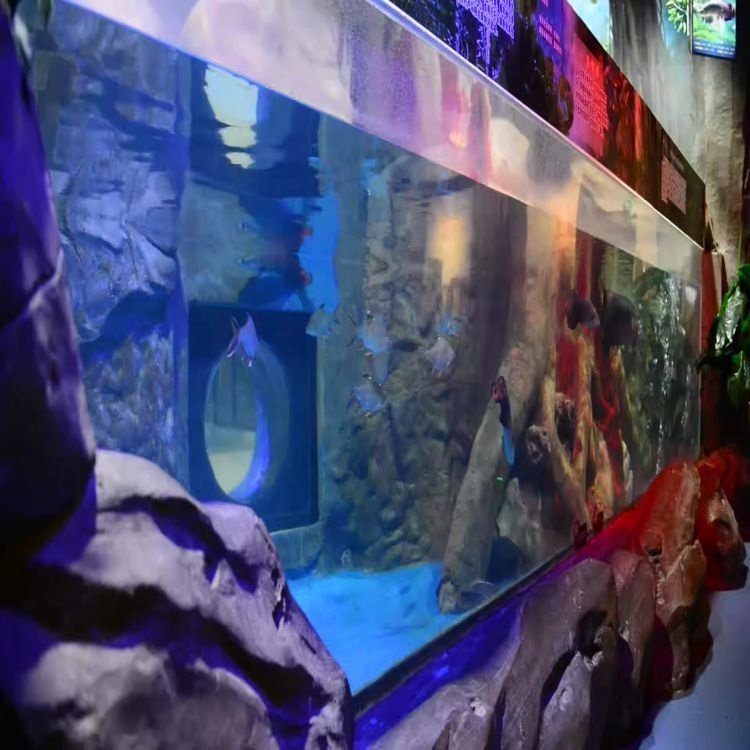 200mm Thick Acrylic Sheet for Fish Tank Customizable Acrylic Aquarium Fish Tank