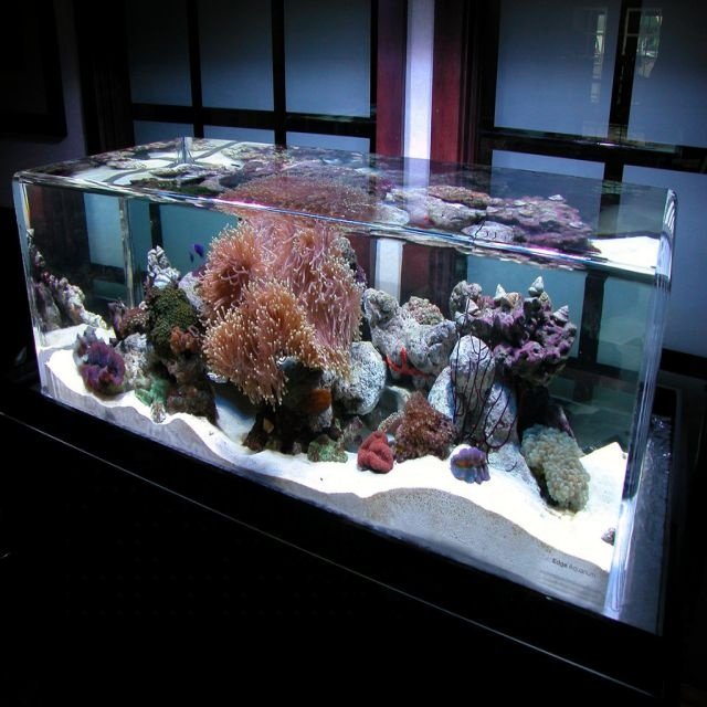 200mm Thick Acrylic Sheet for Fish Tank Customizable Acrylic Aquarium Fish Tank
